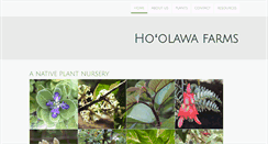 Desktop Screenshot of hoolawafarms.com