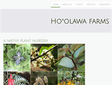 Tablet Screenshot of hoolawafarms.com